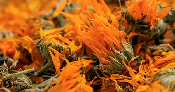 Körömvirág krém: Bársonyos bőröd őre