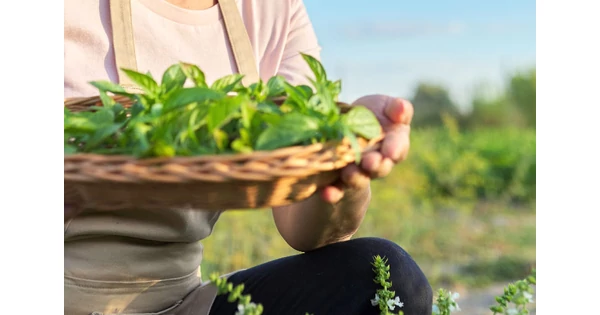 5 tipp, hogy tudatosabb vásárlóvá válhass